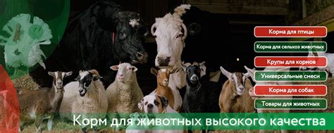 Комбикорм ЗЕРНОВОЙ | Магнитогорск | Высокопродуктивный комбикорм ...