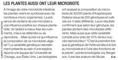 Planète GAÏA Végétal Botanique Génétique Le Microbiote des