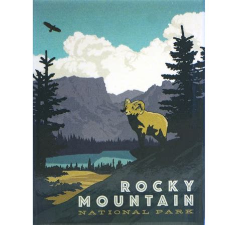 Magnet - RMNP Bighorn Sheep - Rocky Mountain Conservancy