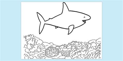 Baby Shark Colouring Page EYLF Parents Profesor Hizo