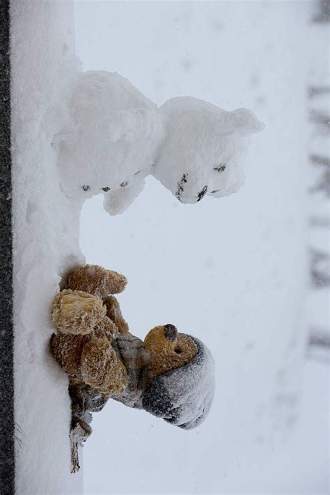 Petit Amour D Ourson Travelling Teddy Cute Teddy Bear Pics Teddy