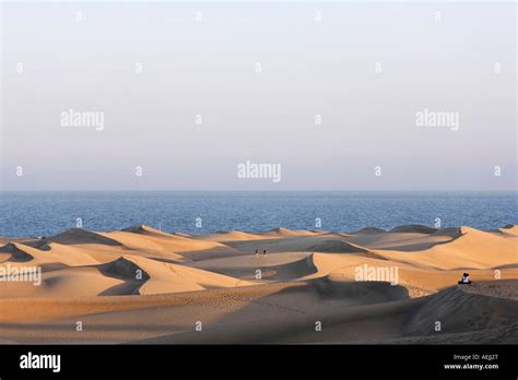 Sand Dunes Of Maspalomas Playa Del Ingles Gran Canaria Spain Stock