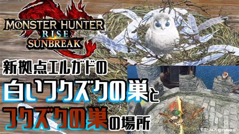 【monster Hunter Rise Sunbreak】新拠点エルガドの白いフクズクとフクズクの場所【モンスターハンターライズサンブレイクmhrs】 Youtube