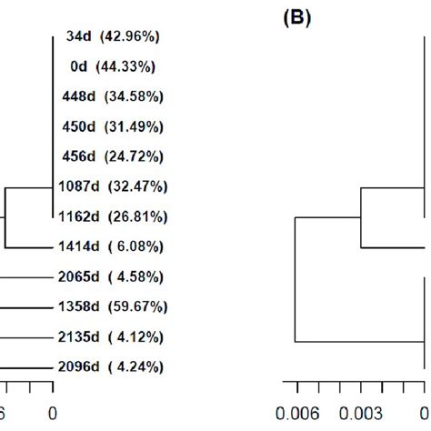 A Upgma Tree With The Master Haplotypes Of All Samples At The