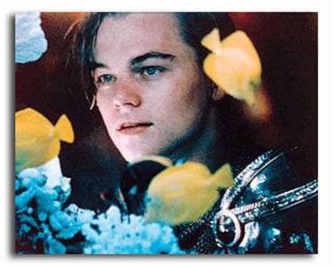 (SS3027661) Movie picture of Leonardo DiCaprio buy celebrity photos and ...