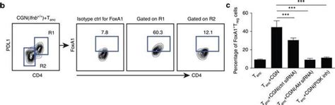 Rat Igg2a Kappa Isotype Control Pe 12 4321 42