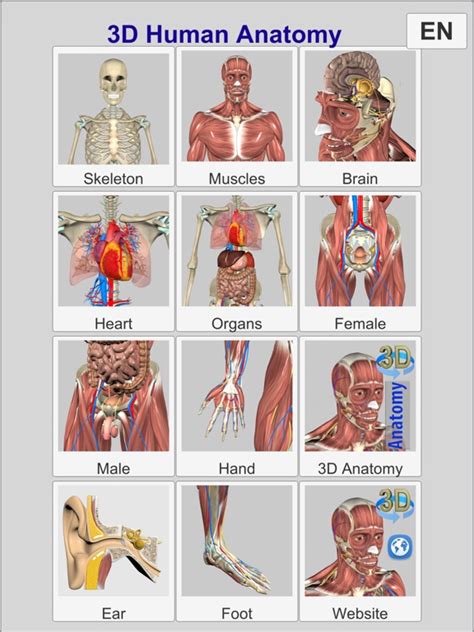 3d Anatomy Learning App Price Drops