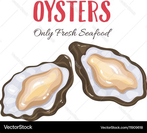 Oysters In Cartoon Style Royalty Free Vector Image