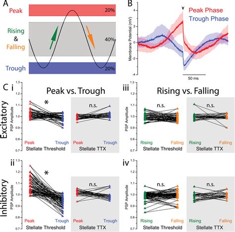 Membrane potential-dependent integration of synaptic inputs in ...