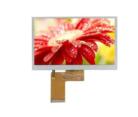 5 Inch 800 480 TFT LCD Module With RGB Interface IPS Touch Display