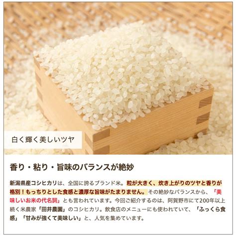 【令和5年度米】新潟県産コシヒカリ 精米5kg田井農園送料無料 1053 001 01新潟直送計画 通販 Yahooショッピング