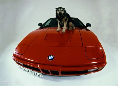 BMWs That Will Be Missed BMW M1 Autoevolution