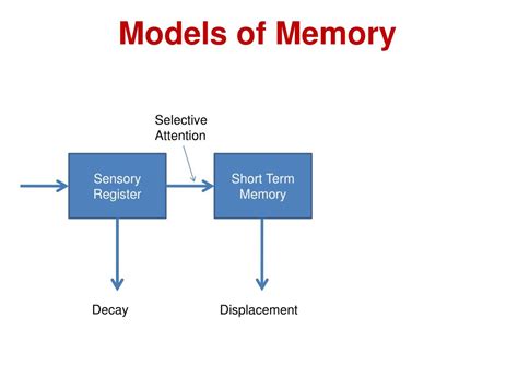 Ppt Memory And Recall Powerpoint Presentation Free Download Id744805