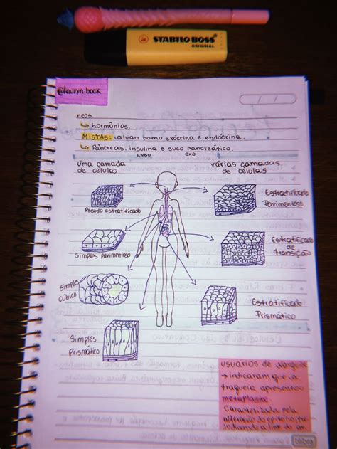 Resumo Tecido Epitelial Part Endocrina Biolog A Insulina