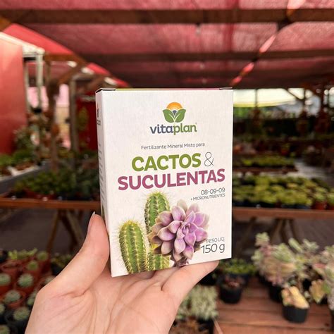 Fertilizante Para Cactos E Suculentas Vitaplan