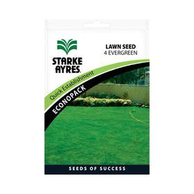 Starke Ayres Ever Green Lawn Seed Shop Today Get It Tomorrow