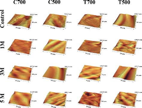 Afm Images Of The Surface Roughness Of Pcl Scaffolds Before And After