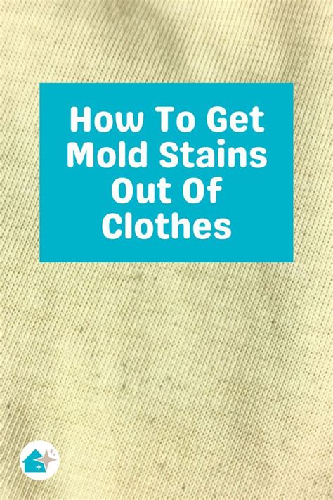 How To Get Mold Stains Out Of Clothes Mold On Clothes Remove Mold