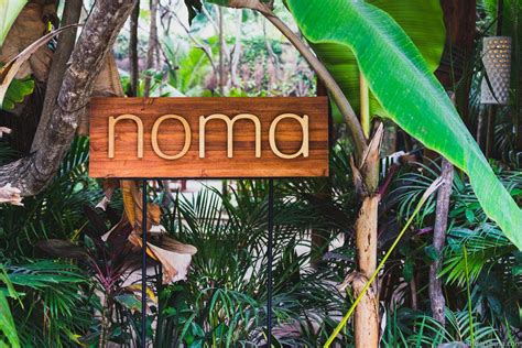 noma-mexico-tulum-rene-redzepi-popup-restaurant-review-food-foodie-eat ...