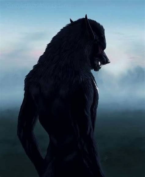 Pin By MCarv On Werewolf Werewolf Aesthetic Werewolf Art Werewolf