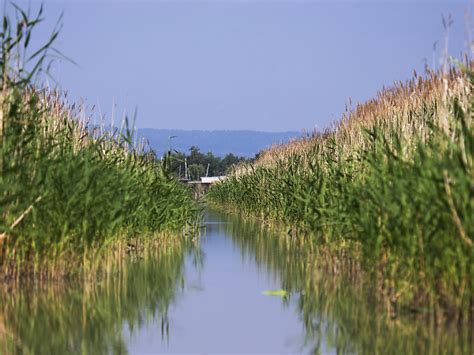 Wasser Situation In Neusiedler See Gut S Dtirol News