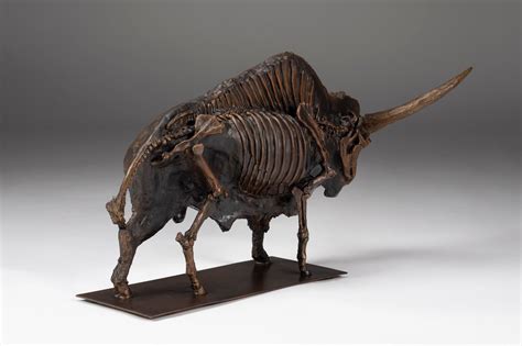 Bison Latifrons Skeletal Bas Relief Sculpture in Bronze