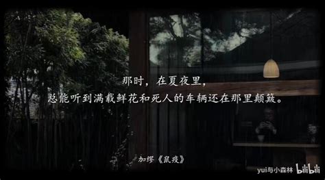 【阿尔贝·加缪】“在隆冬，我终于知道，我身上有一个不可战胜的夏天。” 哔哩哔哩