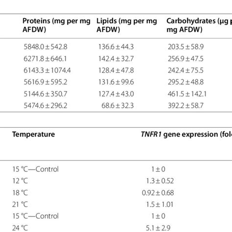 Effect Of Different Thermal Conditions On The Biomass Protein Lipid