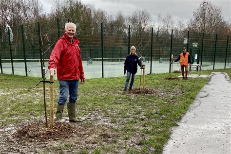 Beverley Park SAKURA CHERRY TREE PROJECT