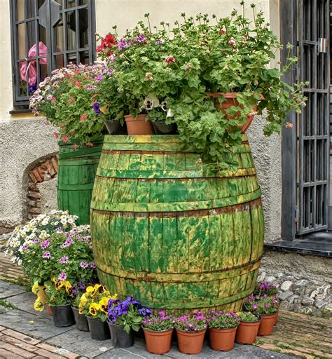 Garden Planter Ideas to Give Your Plants a New Life | Blog