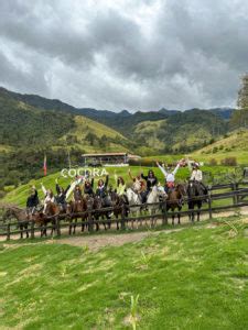 Cosa Vedere E Come Arrivare Alla Valle Del Cocora Eleutha