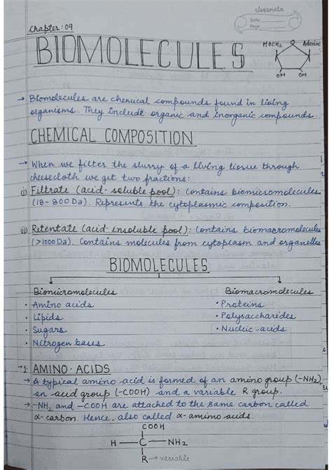 This Is A Long Form Note For The Chapter Biomolecules Of Class 11h