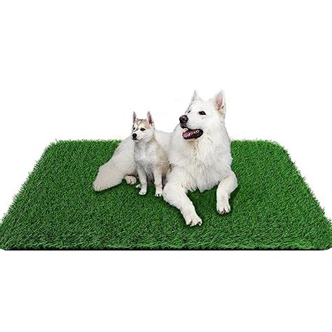 Mesa Fake Grass For Dogs 2024 - Vet Ranch - We Love Pets