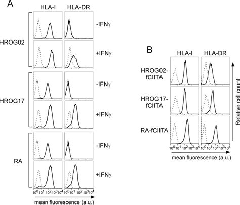 Expression Of Hla Class I And Hla Class Ii Dr Cell Surface Molecules In