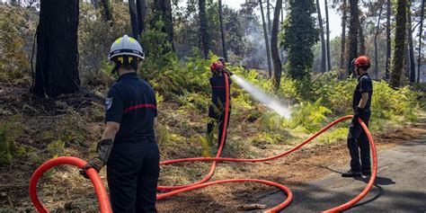 Six Hectares De Forêt Détruits Dans Le Sud De La Charente Maritime