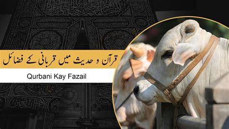 Quran O Hadees Mein Qurbani Kay Fazail Qurbani Kay Masail Mukarram