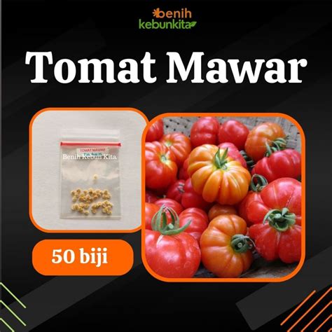 Jual Benih Bibit Sayuran Tomat Mawar Keriting Unggul Shopee Indonesia