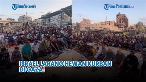 MIRIS Israel Larang Hewan Kurban Idul Adha Masuk Ke Gaza YouTube