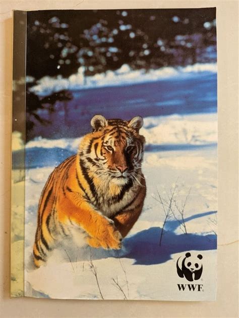 Wwf Sibirischer Tiger Briefmarken Kaufen Auf Ricardo