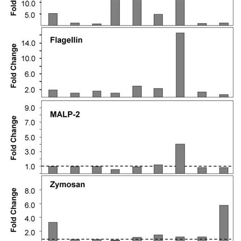 Matrix Metalloproteinase Mmp And Timp Secretion By Stimulated Primary