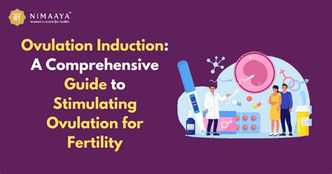 Understanding Ovulation Induction A Comprehensive Guide