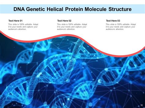 DNA Ppt Template Molecular Structure Puzzle Pieces Ppt PowerPoint ...