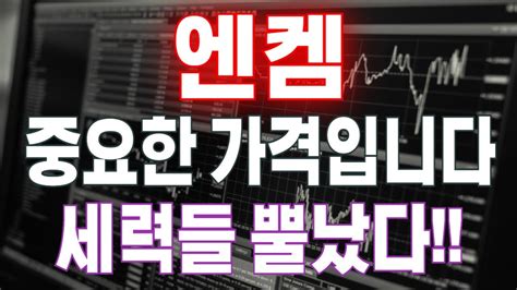 엔켐 주가전망 중요한 가격입니다 세력들 뿔났다 엔켐 Youtube