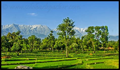 Kangra Valley Trip: Some Offbeat Experiences | Solo Backpacker