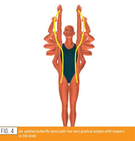 Swimming World Presents “swimming Technique Concepts Development Of An