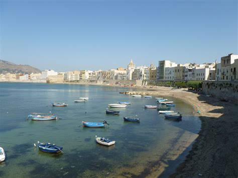 wandering voyager eating  trapani