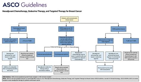 Breast Cancer Clinical Guidelines Breast Cancer Surgery Melbourne Vic