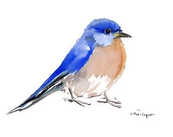 Mountain Bluebird Original Watercolor Painting 12 X 9 In Etsy