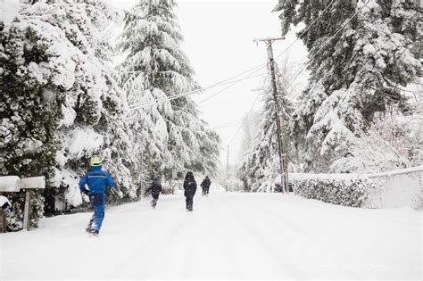 The Great Portland February 2017 Snow Storm