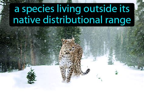 Non Native Species Definition And Image Gamesmartz